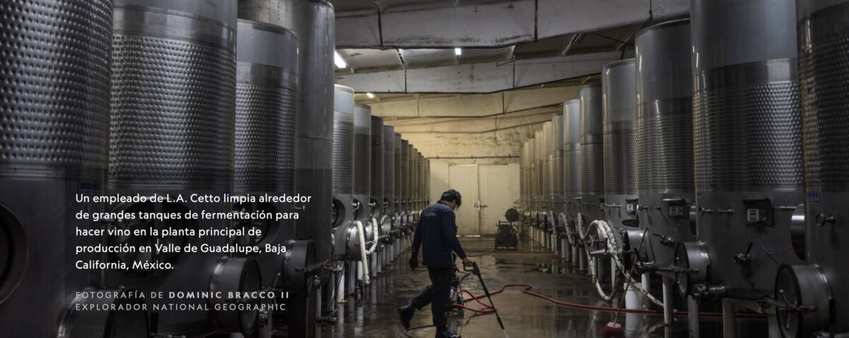 Detalles de la serie 'Agricultores de Corazón', protagonizada por Bodegas Cetto